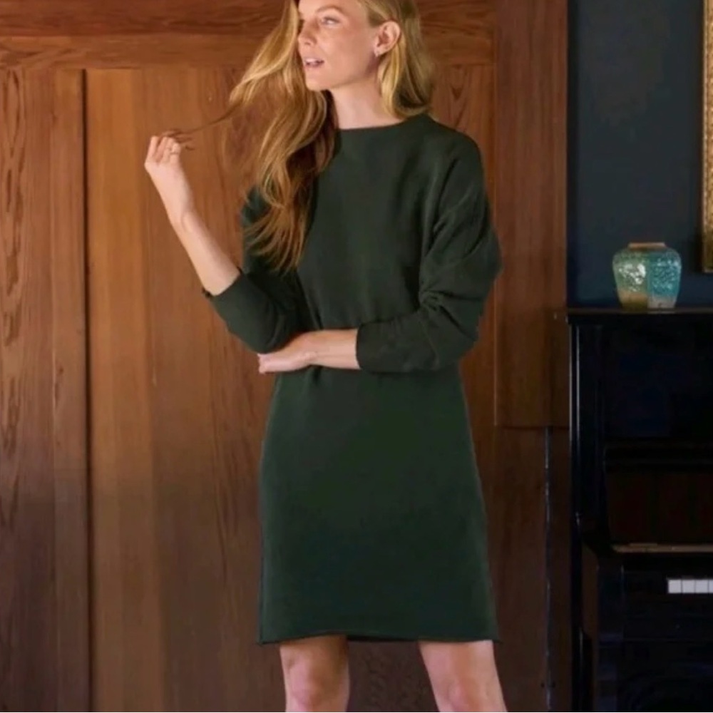 Frank & Eileen Short Isabelle Funnel Neck Dress Size Small